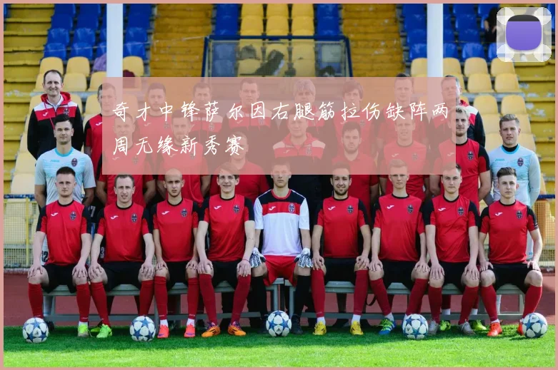 奇才中锋萨尔因右腿筋拉伤缺阵两周无缘新秀赛